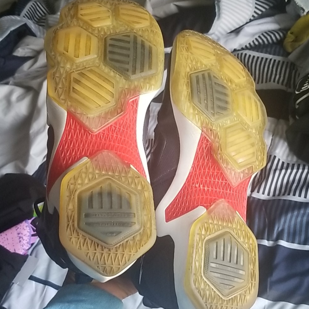 Lebrons - Picture 6 of 6